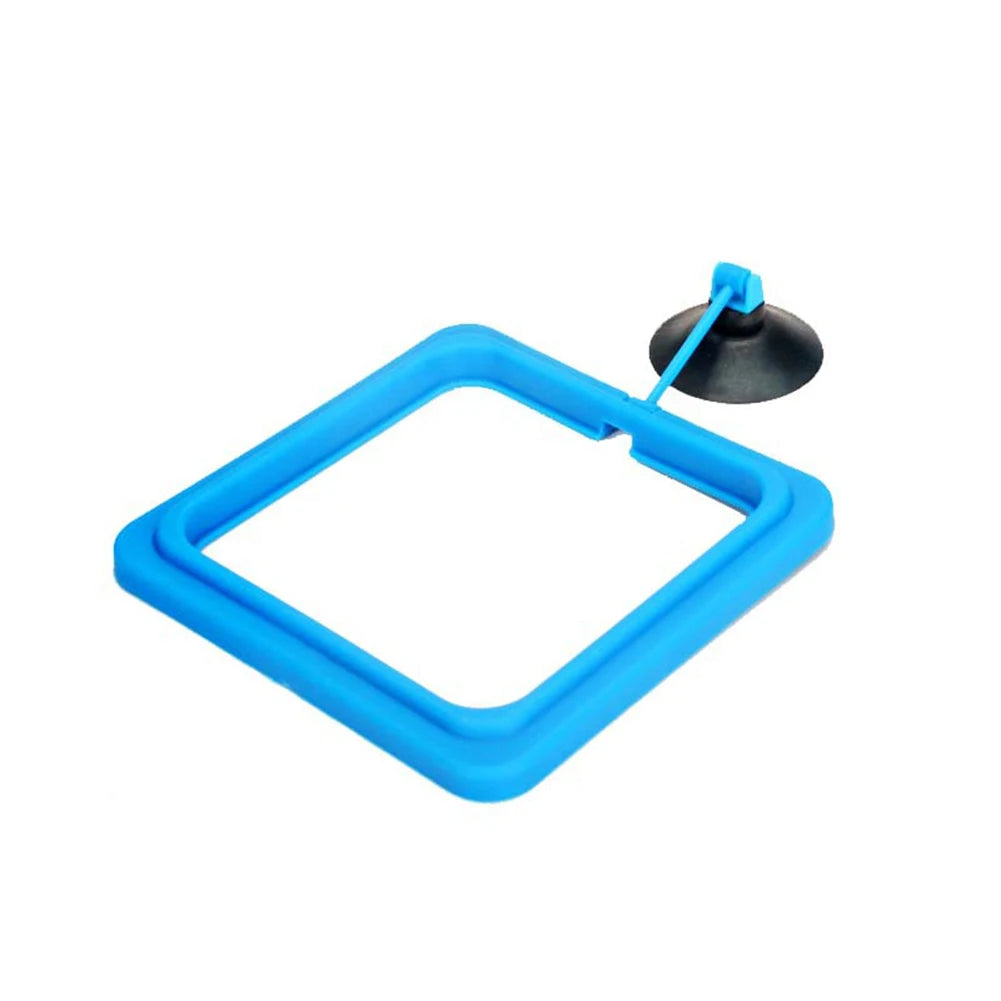 Fish Food Feeding Ring